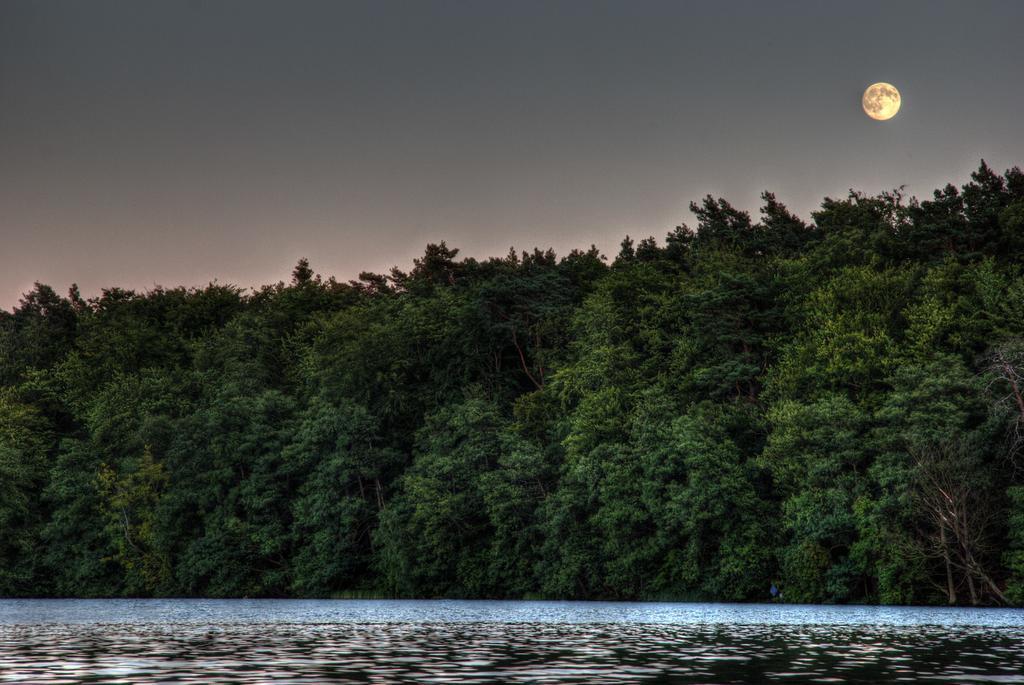 Hotel Am Liepnitzsee 万德利茨 外观 照片